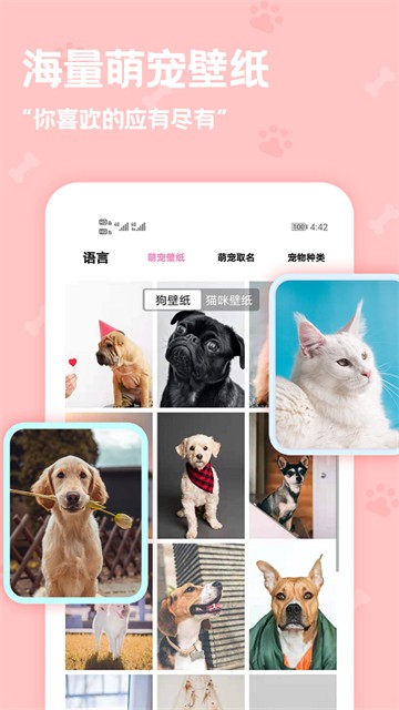 动物语言翻译器5