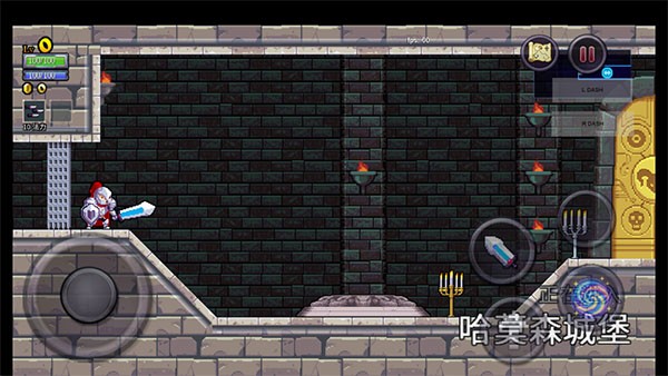 Rogue Legacy(盗贼遗产)2