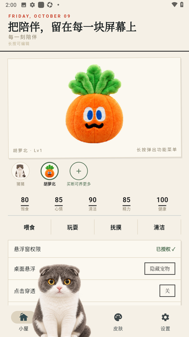 Mochi桌宠APP2