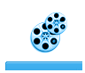 双视电影网
