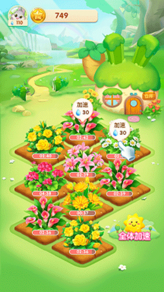 天天种花4