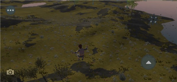 Wilderless Classic1