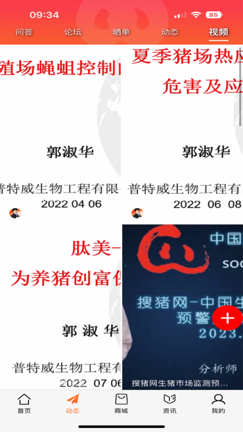 金猪app1