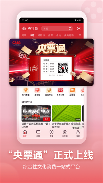 央视频世界杯版1