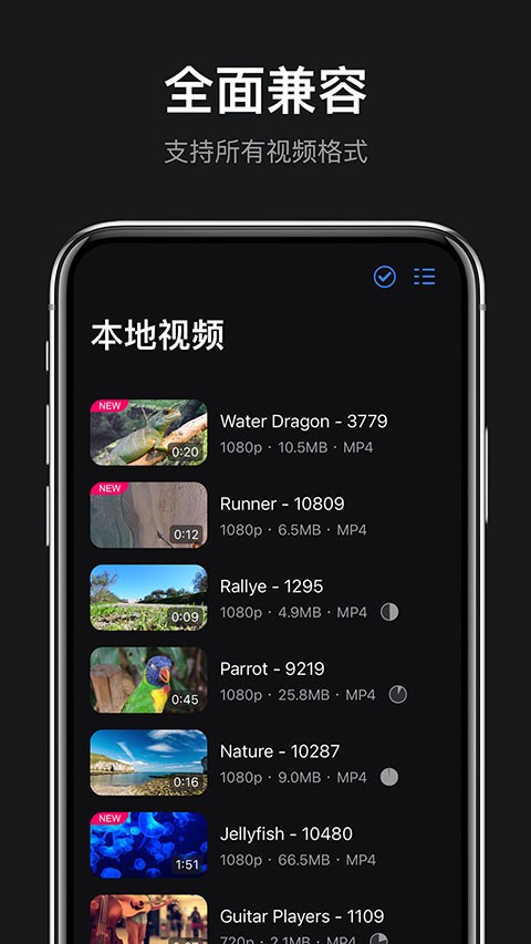 rPlayer-VR播放器1