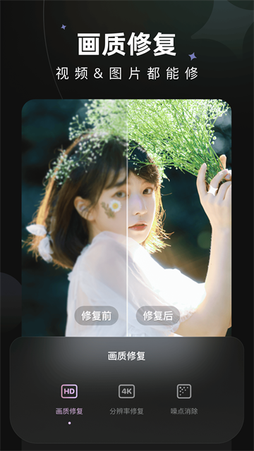 Wink最新版5