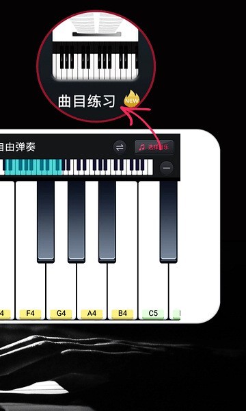 钢琴键盘app1