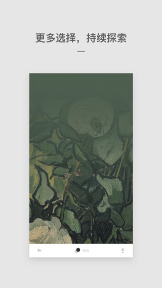 Cutisan壁纸APP2