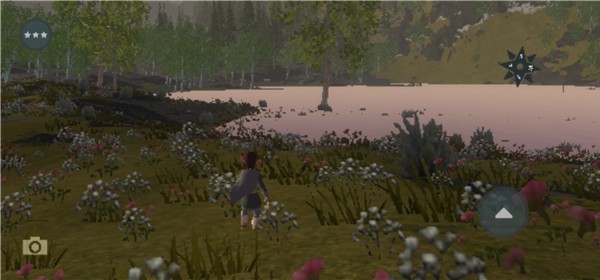 Wilderless Classic4