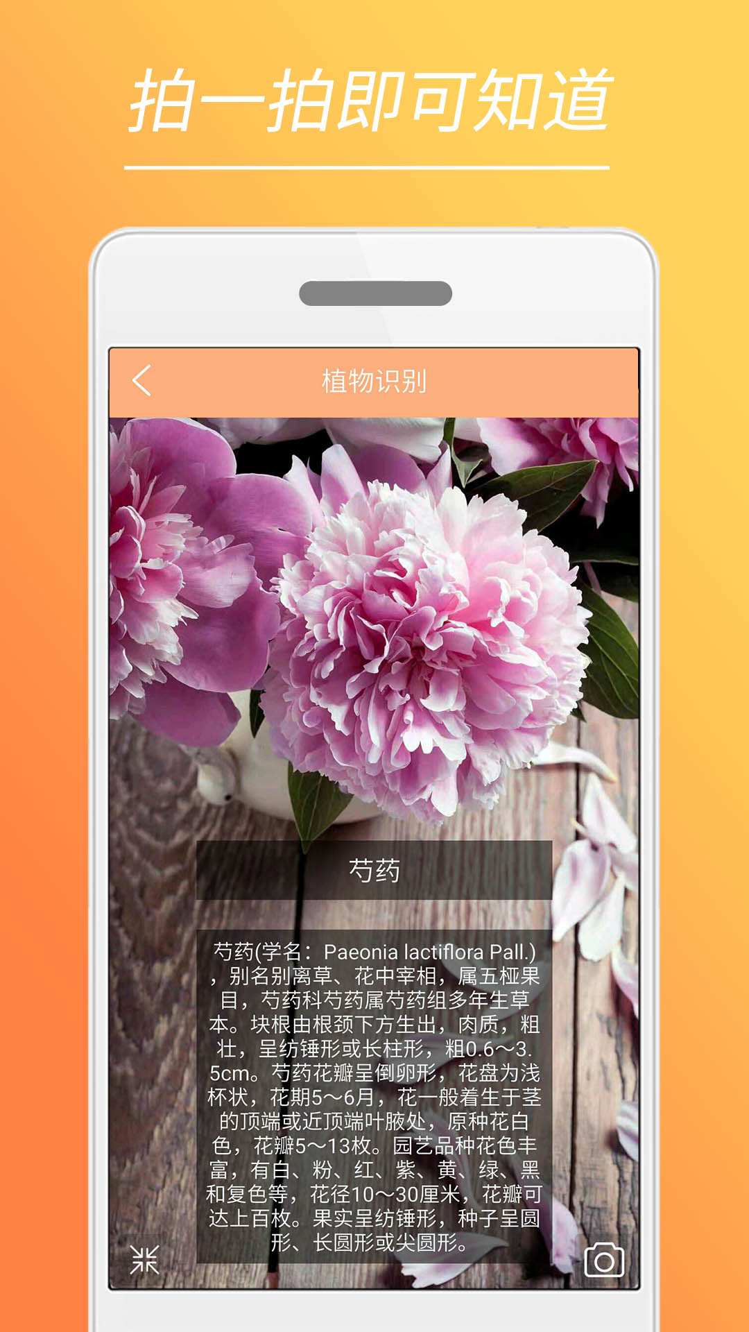 时光美图app1