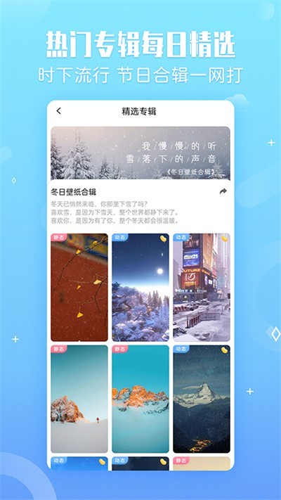 360小鸟壁纸APP5