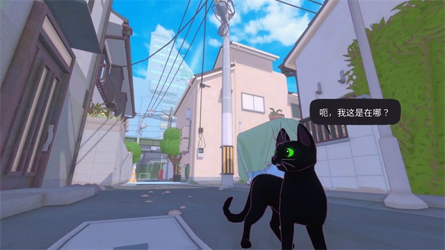 小猫咪大城市5