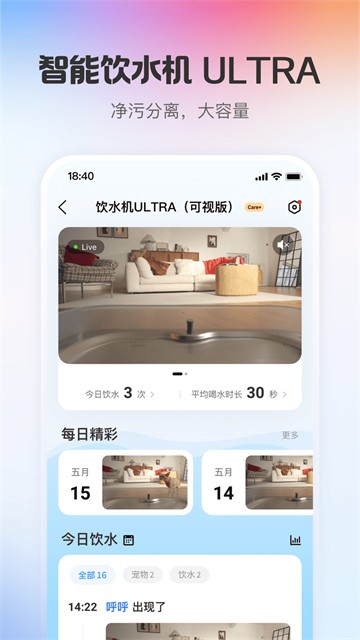 小佩宠物3