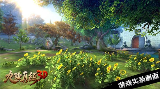 九阴真经3D1