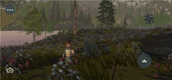 Wilderless Classic2