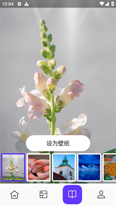 皮皮助手4
