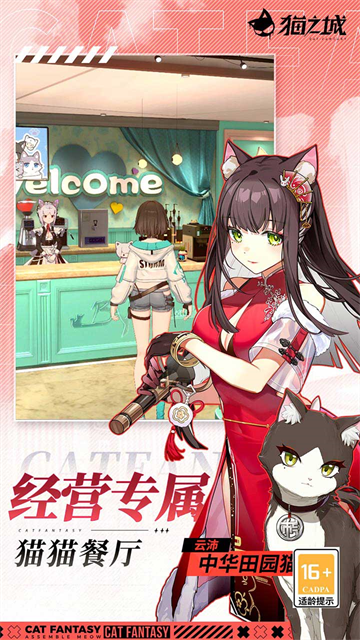 猫之城3