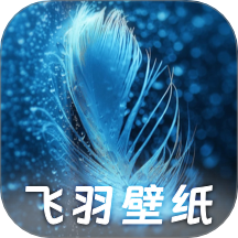 飞羽壁纸定制版