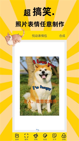 悦动表情包4