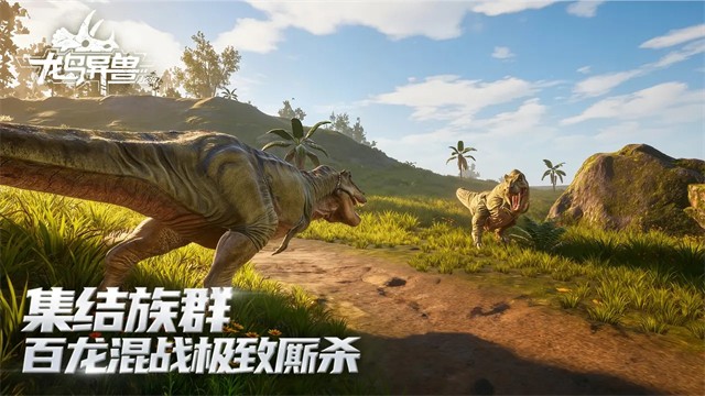龙岛异兽起源4