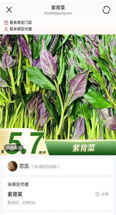 小蛋优选APP1