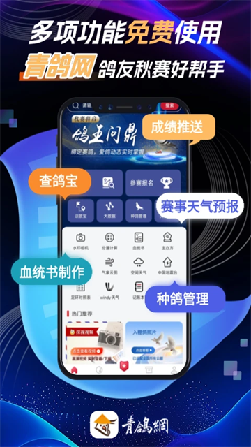 青鸽网APP4