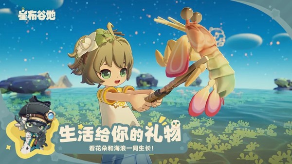 星布谷地4