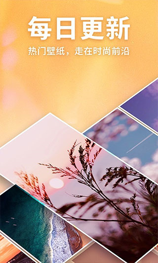 灵猫壁纸app3