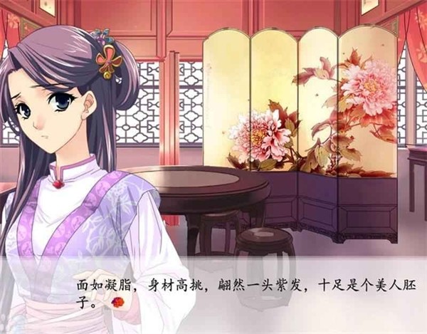 红楼梦林黛玉与北静王2