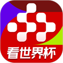 央视频世界杯版