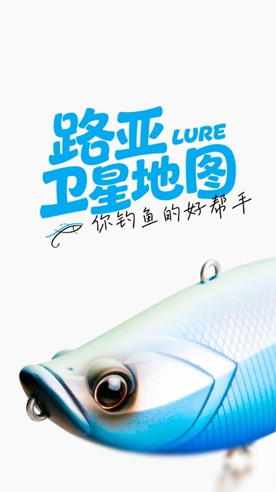 路亚卫星地图APP2