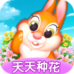 天天种花
