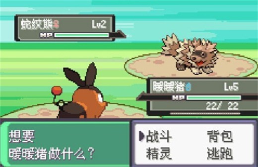 口袋妖怪漆黑的魅影DP版3
