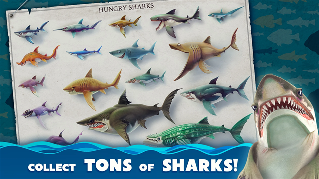 饥饿鲨世界(Hungry Shark)1