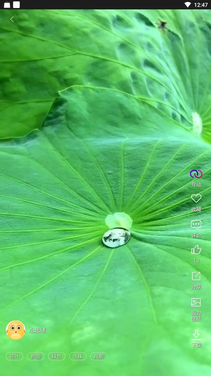 炫彩壁纸秀app4