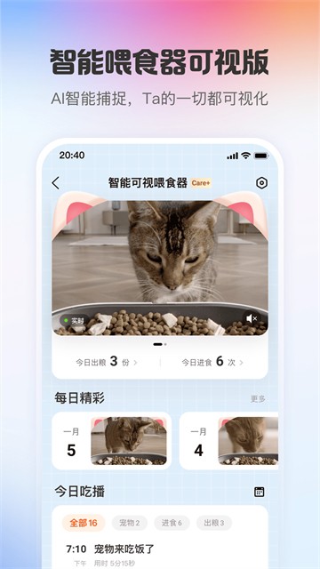 小佩宠物2