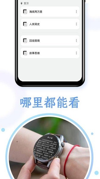 掌旗小说阅读器3