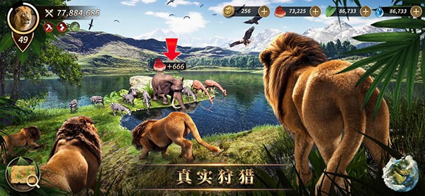 野兽领主新世界2