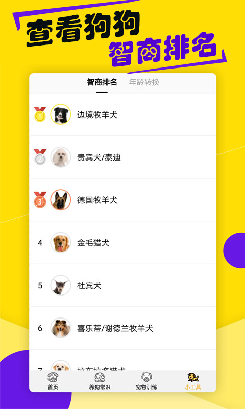 狗语翻译器4