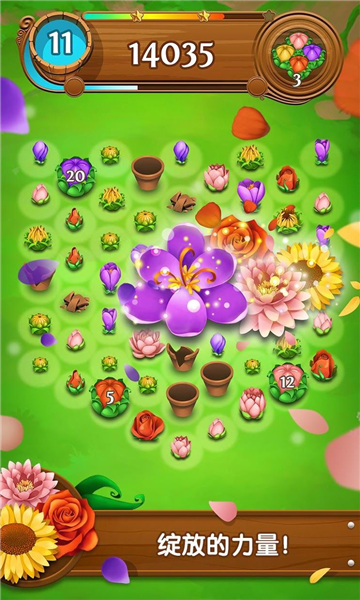 花花传奇单机版1
