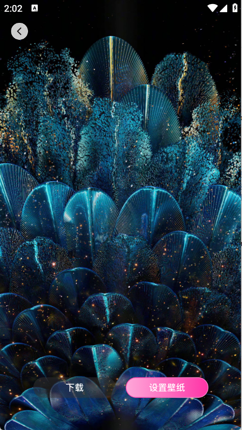 水汽壁纸app1