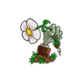 植物大战僵尸神金版