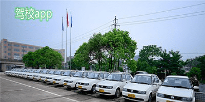 驾校app