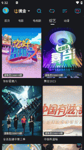 黄金版影视TV版旧版1