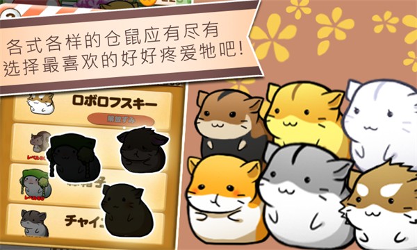 Hamster Life3