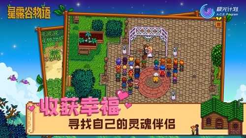 星露谷悠然物语直装版2