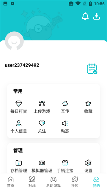 小鸡模拟器免费版5