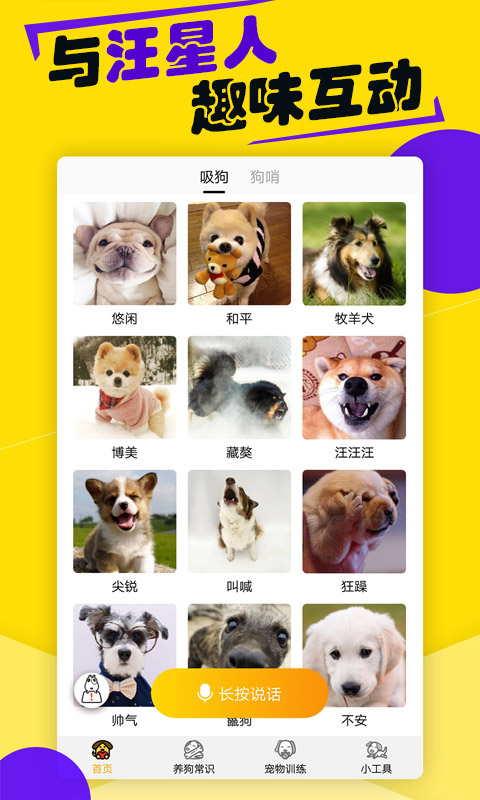 狗语翻译器2