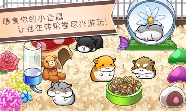 Hamster Life1