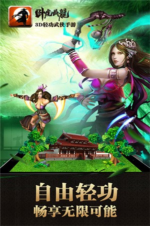 卧虎藏龙1